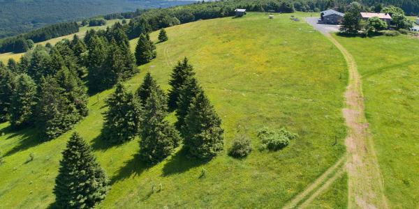 Kissinger Hütte (© Rhön GmbH)