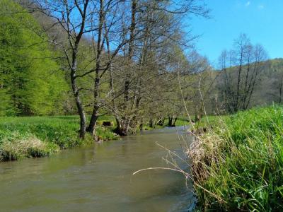 Furt durch die Schondra