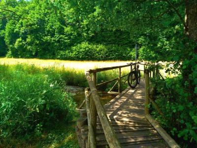 Steg, Brücke, Thulba Mountainbiketour Rhön