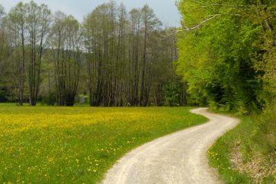 Thulbatal Rhön Gravel